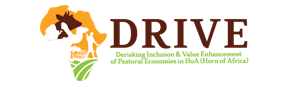 DRIVE – Derisking, Inclusion & Value Enhancement of Pastoral Economies in the Horn of Africa